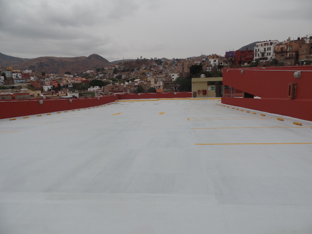 FESTER DE IRAPUATO