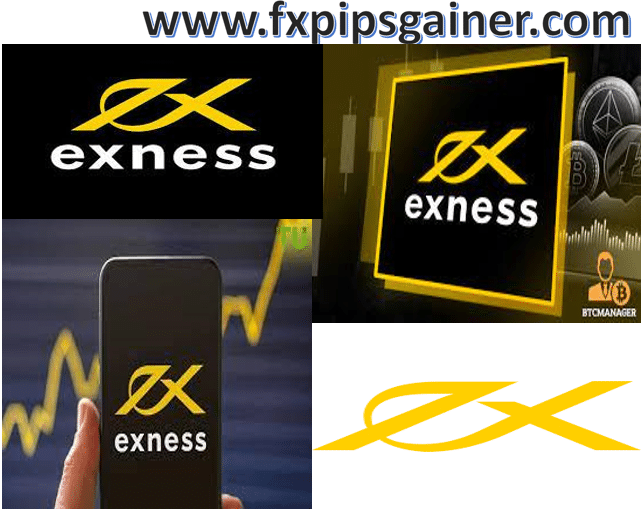 Exploring the Exness Terminal Features and Benefits