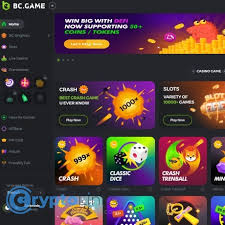 Unleashing Fun and Opportunity The BC Game Experience